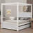 Elonna Canopy Storage Bed-219480887