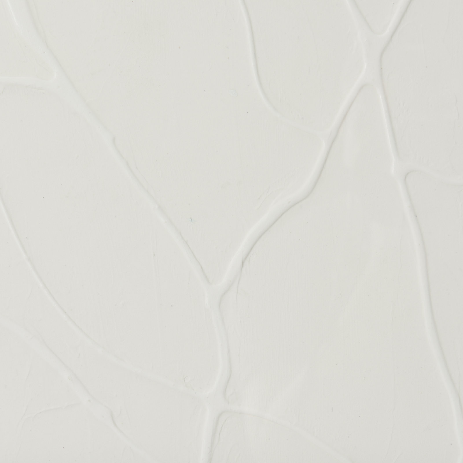 Snow Trails Print