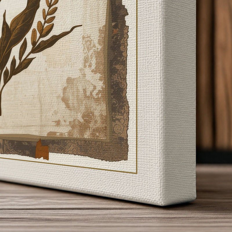Antique Specimen Botanical - Wrapped Canvas, 36x24 - 91.4 x 61.0 cm, Cream Border