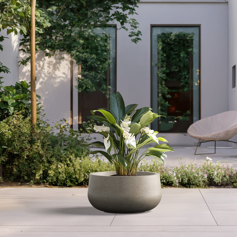 Pot à fleurs en béton Renfrew, H 10 po x l 19 po x P 19 po, Jaune pâle
