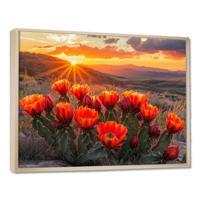 Cactus en fleurs au coucher du soleil II - Cactus, art mural