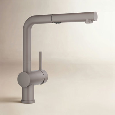 Linus Low Arc Pull-Out Kitchen Faucet