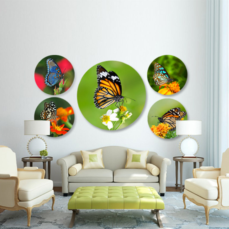 Magnifique papillon - photographie sur acrylique, H 24 po x l 24 po
