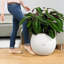 Pot Planter-348833669-348833670
