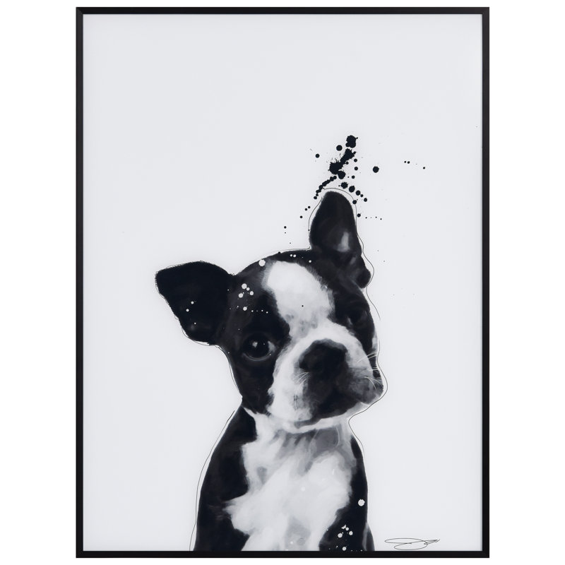 Boston Terrier - cadre photo, impression sur verre