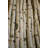 Wilson White Birch Pole Packs-24249658