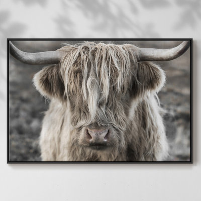" Highland Skye "