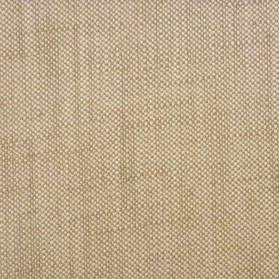 Homerun Fabric