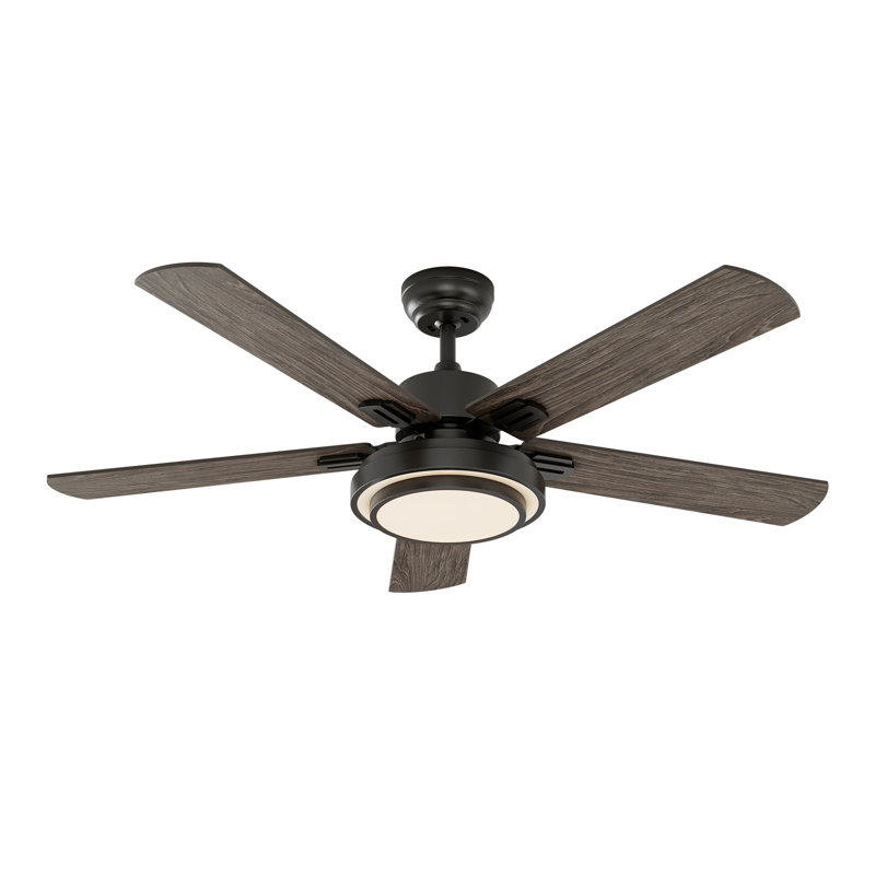 Dorathea 52'' Ceiling Fan with Lights and Remote Control, Black