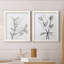 CHARCOAL FOLIAGE I - impression 2 pièces-103841424-103841427