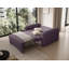 Sarlota 2 Seater Sofa Bed-83383089
