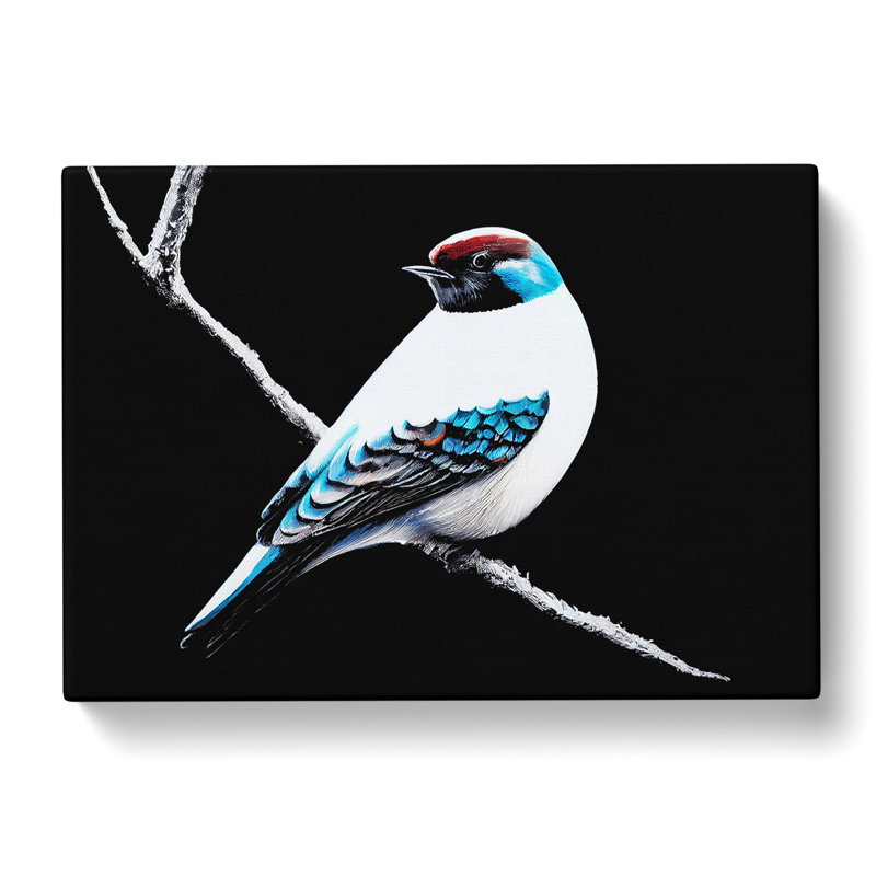 Painted Bird - Wrapped Canvas Print, 40cm H x 60cm W x 3cm D