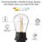 Chantez 2cm 15 - Bulb Globe String Light