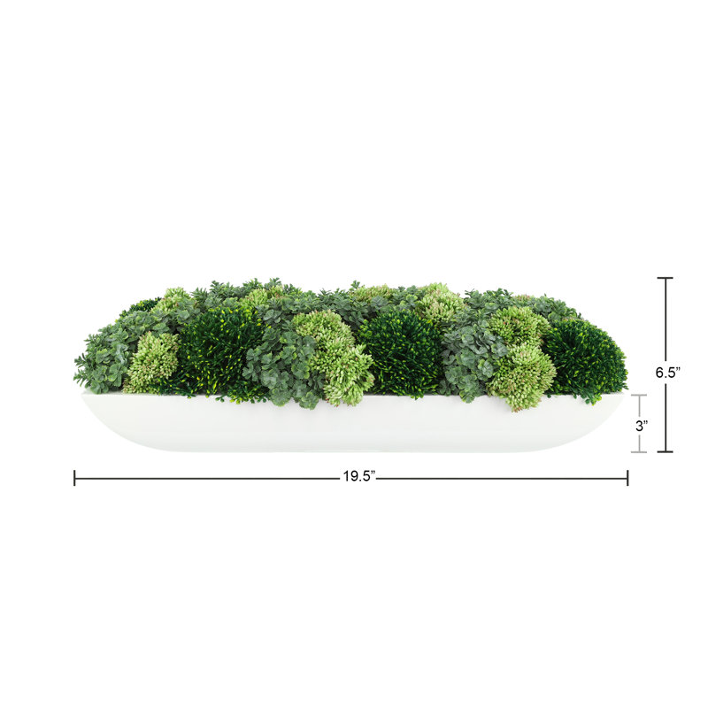 Jerez Faux Succulent in Fiberstone Planter, White