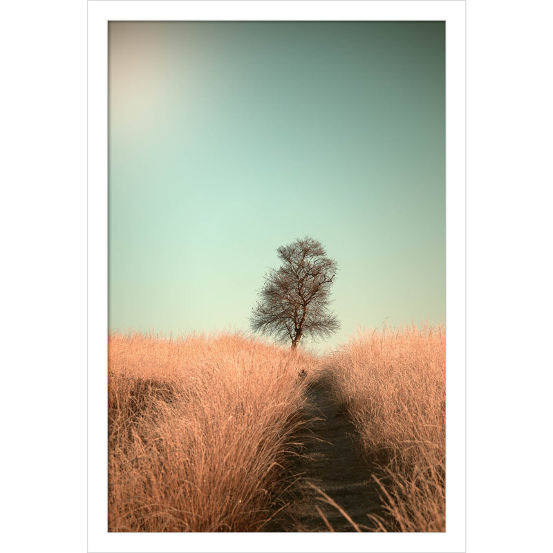 Grass And Path by Jaap Van Den, 15" W x 21" H, White