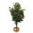 Faux Tree in Metal Planter-101685158-101685157