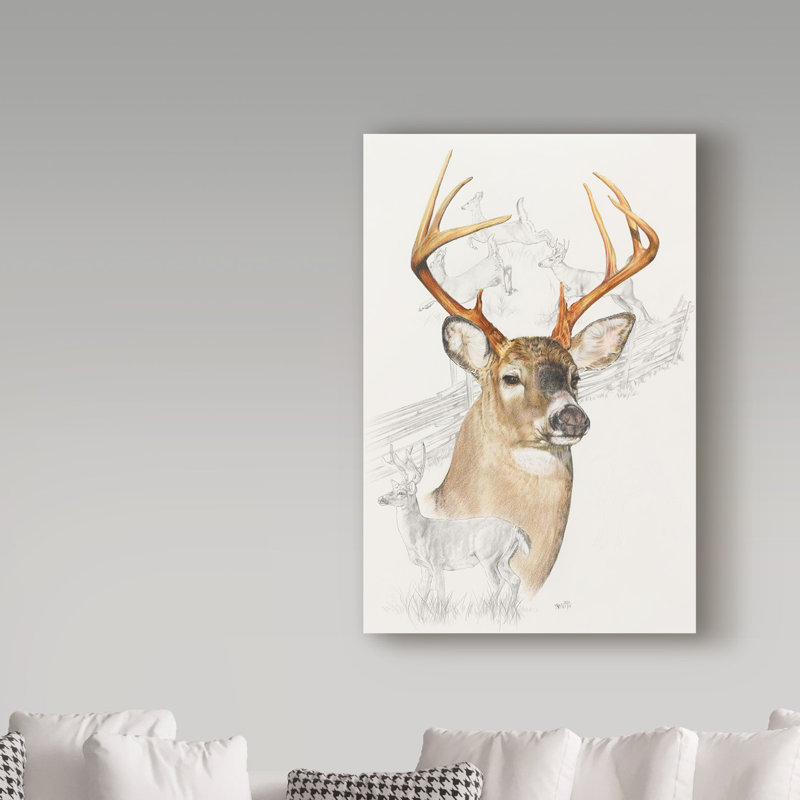 Publicité rétro sur toile tendue Adelphi «White Tailed Deer», H 24 po x l 16 po