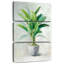 Pot Harnek Greenhouse Palm II-108664564
