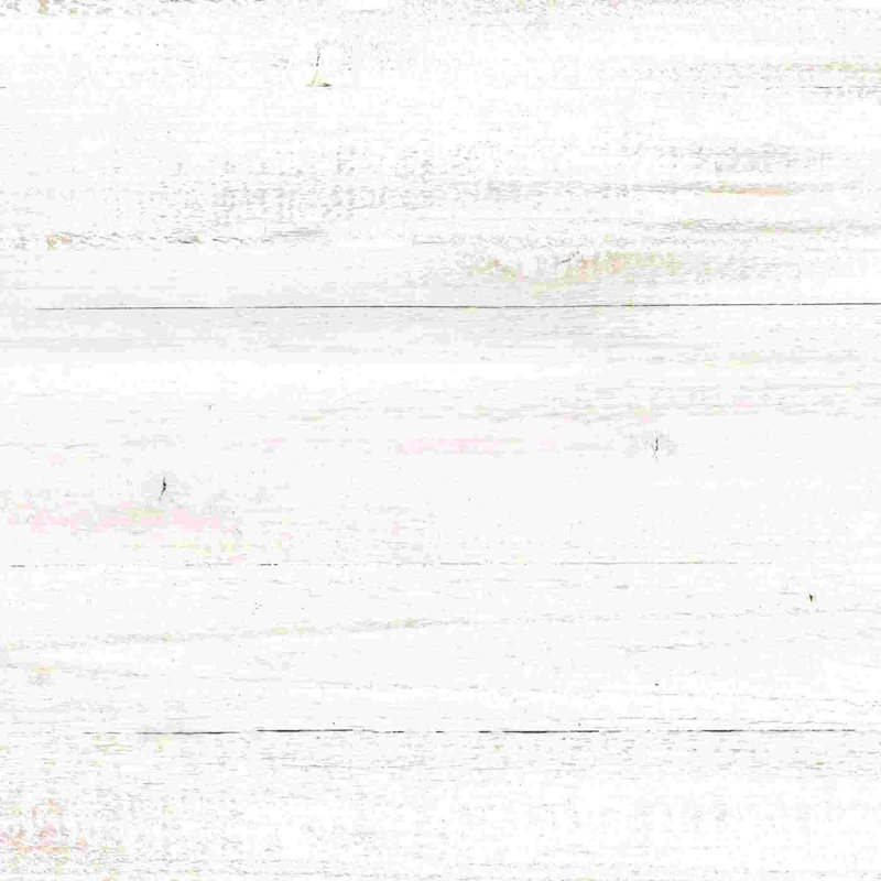 " Wood White " Painting Print, 20" H x 20" W  