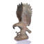 Mountaintop Eagle