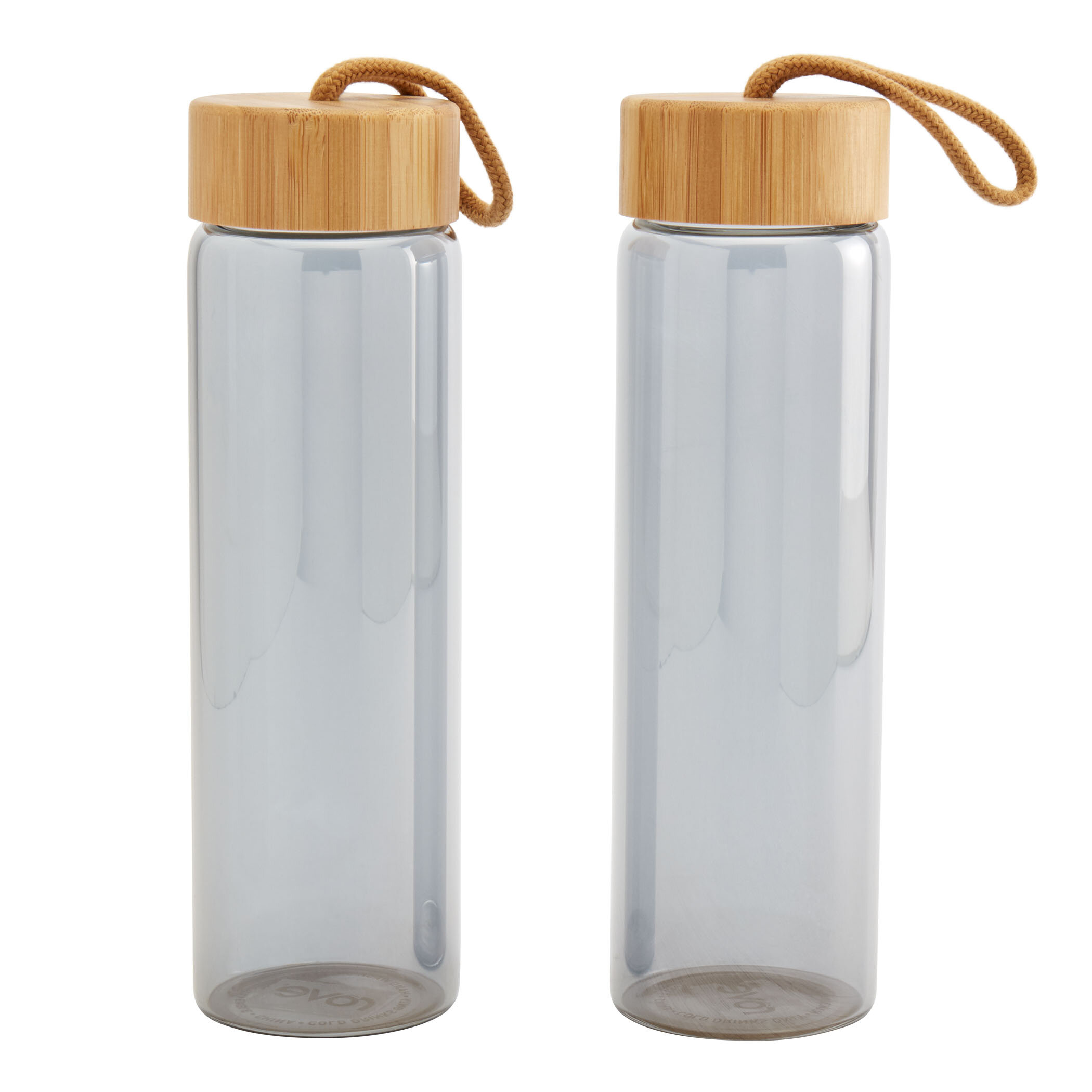 Rove 23oz Gunmetal Mirror Mirror Borosilicate Glass Water Bottle - Set of 2 - Grey