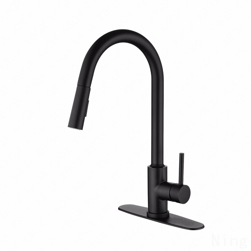 Robinet de cuisine avec douchette rétractable, Noir mat