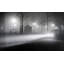 Brouillard, Avenue de l'Observatoire-1527869098