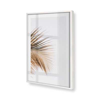 Palm Palm Harmony, dans un cadre,