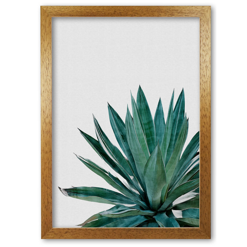 Agave Cactus - Print, 85 cm H x 60 cm W x 5 cm D, Honey Oak Frame