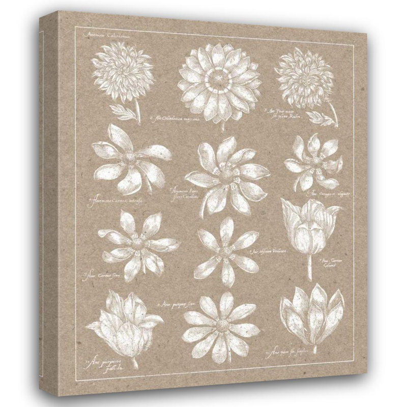 Art sur toile tendue avec galerie Lark Manor ™ Wild Apple, H 44 po x l 36 po