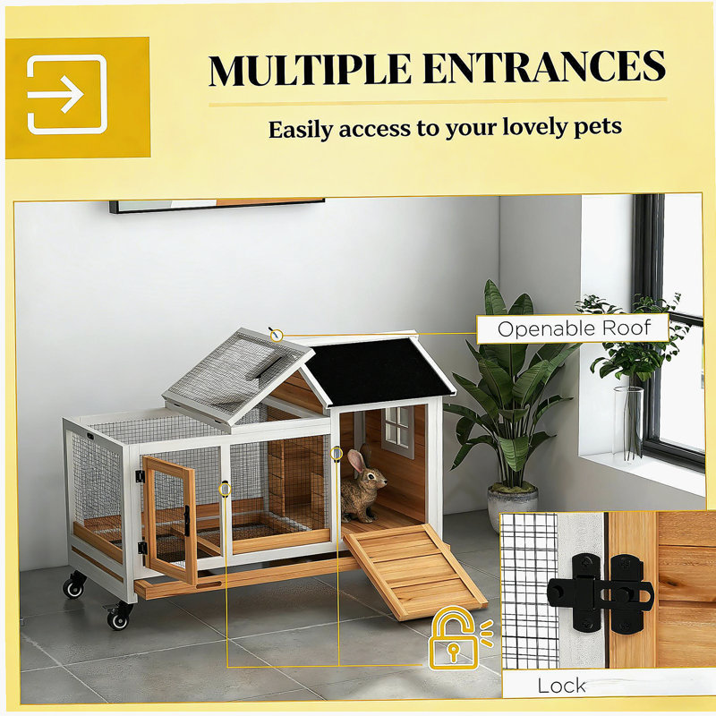 Cage pour animal de compagnie, cage à lapin en bois