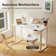 4 Legs Dual Motors Height Adjustable Standing Desk