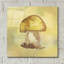 «Treasured Mushroom» par Yass Naffas Designs-101632173