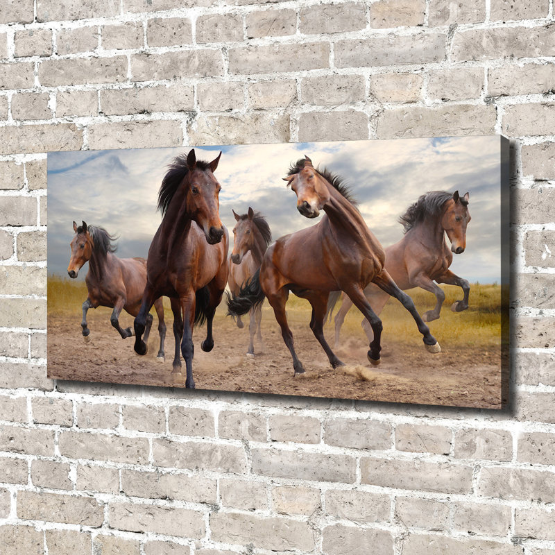 Five Horses - Wrapped Canvas Print