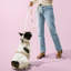 Harnais pour animal de compagnie Arlo-128618013-112400936