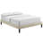 Tessie Bed Frame with Squared Tapered Legs-1066055956-1068867930