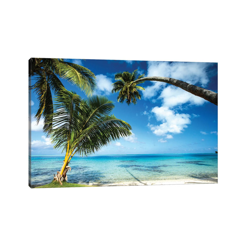 Palm Trees On The Beach, Bora Bora, Society Islands, French Polynesia V by Panoramic Images - Wrapped Canvas Print