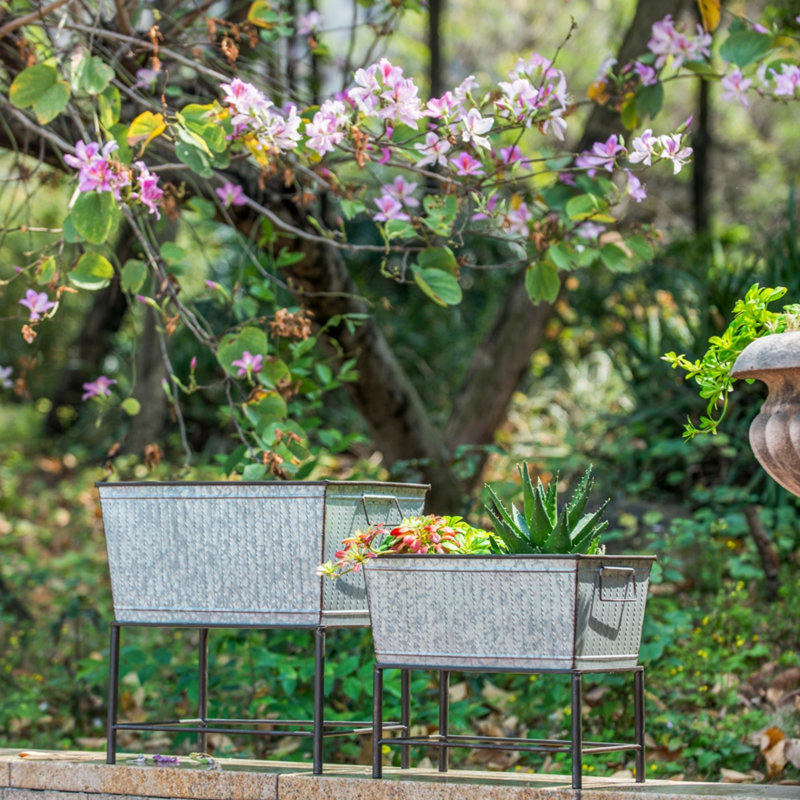 Ensemble de 2 jardinières en métal rustique Zale avec supports
