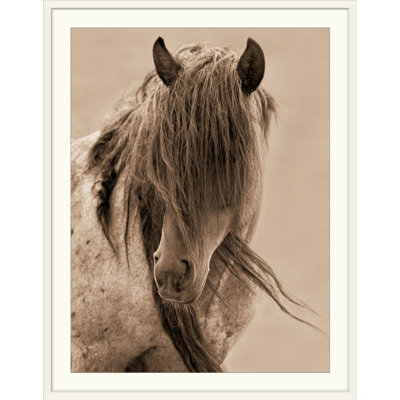 Kemani " Freedom " by Lisa Dearing