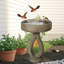 Bol à bain de jardin en plein air pour jardin d'oiseaux, bains d'oiseaux autoportants et mangeoire à oiseaux pour l'extérieur