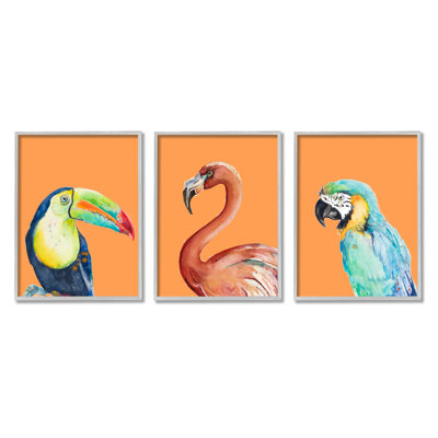 Oiseaux tropicaux audacieux, animaux de la forêt tropicale, ensemble de 3 perroquets toucans