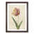 Walnut Framed selected