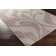 Paradox Wool Oriental Indoor Rug