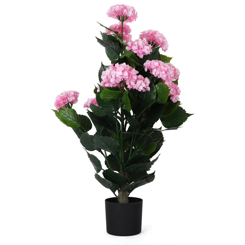 Potted Hydrangea - Small, Pink