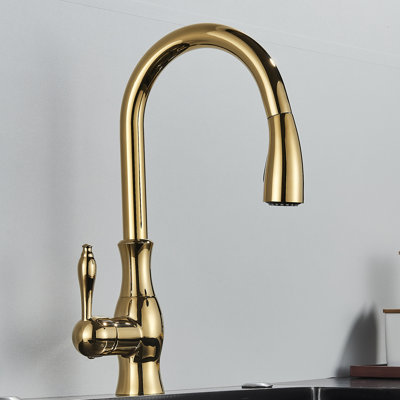 Belfry Kitchen Tywonne Kitchen Faucet