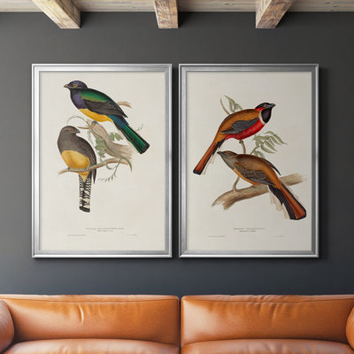 " Elegant Trogons III " 2 - Pieces Painting Print