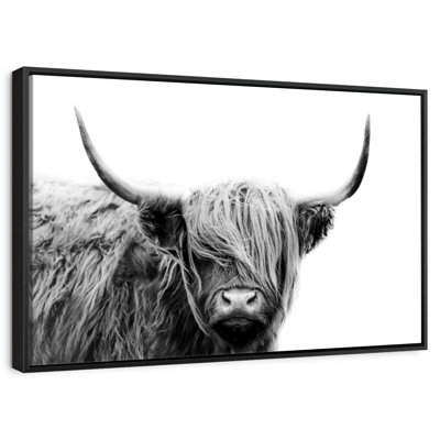 BW Highland Cow