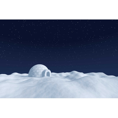 " Igloo Icehouse " by Alexeyvs