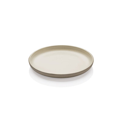 Joyn Stoneware Salad/Dessert Plate