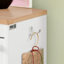 6 Pair Shoe Storage Cabinet